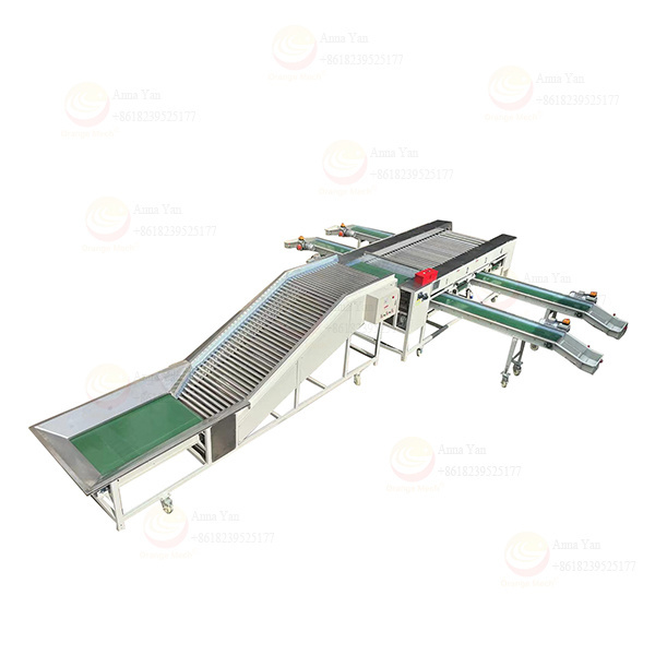 Cherry tomato citrus sorting machine classifier manufacturer