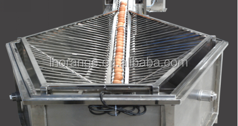 10000 pcs/h automatic stainless steel egg washing machine egg washer for poultry farm