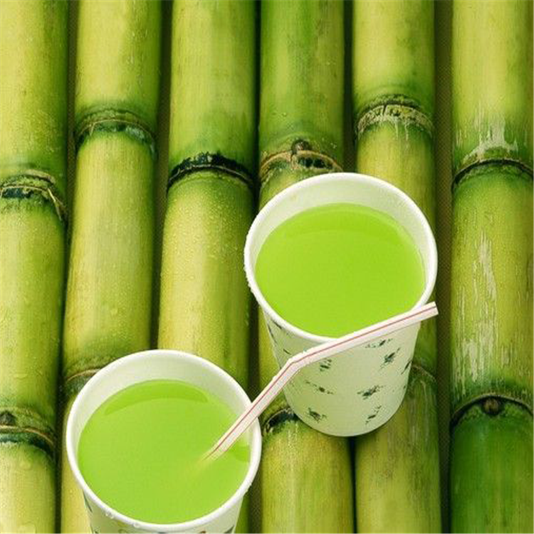 Best Selling Sugarcane Juice Press Machine Electric Sugar Cane Juicer Machine