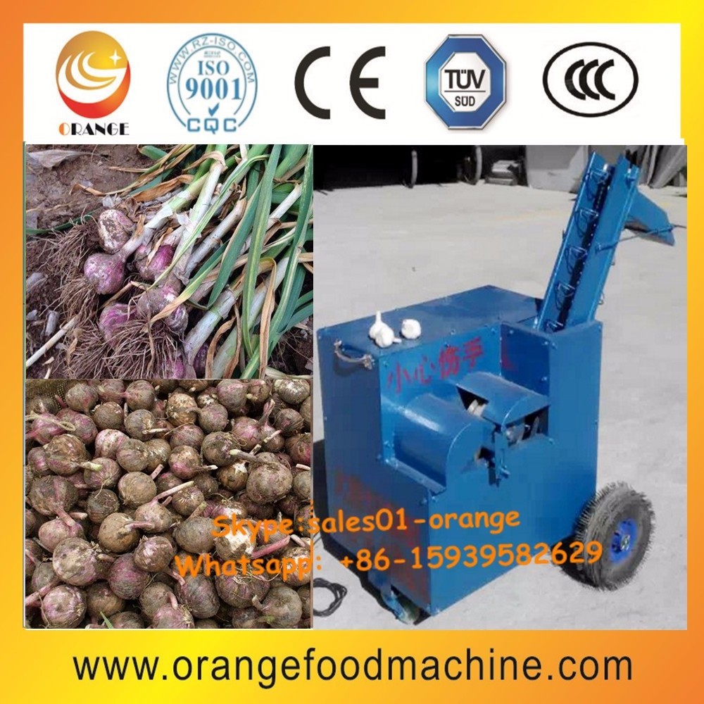 Fresh garlic root cutting machine / garlic root removing machine  / garlic root cutter