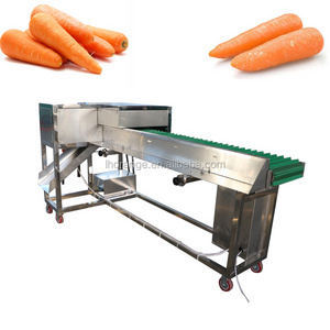 Carrot Root Cutting Machine  / Stainless Steel Vegetable Cutter / Green Onion Chopper Machine