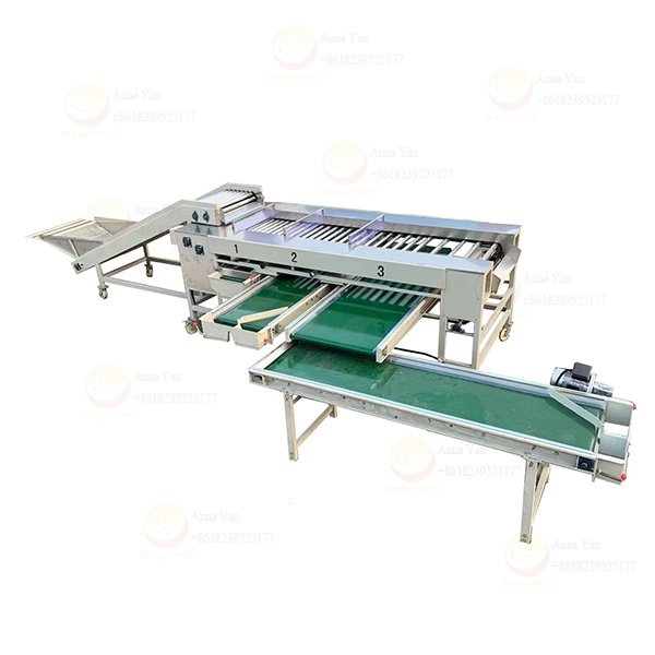 Cherry tomato citrus sorting machine classifier manufacturer