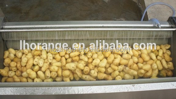 Automatic potato ginger washing peeler machine / ginger peeling cleaning machine