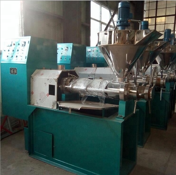 High Output olive oil extracting machine/small cold oil press