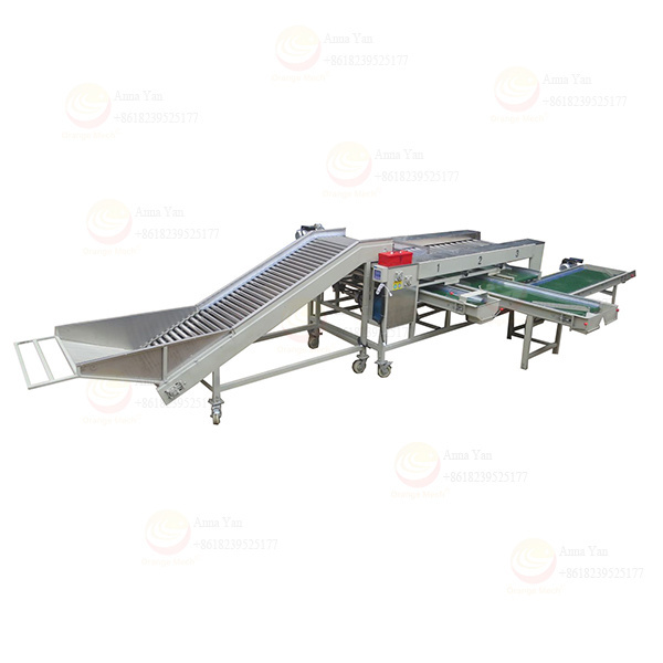 Cherry tomato citrus sorting machine classifier manufacturer