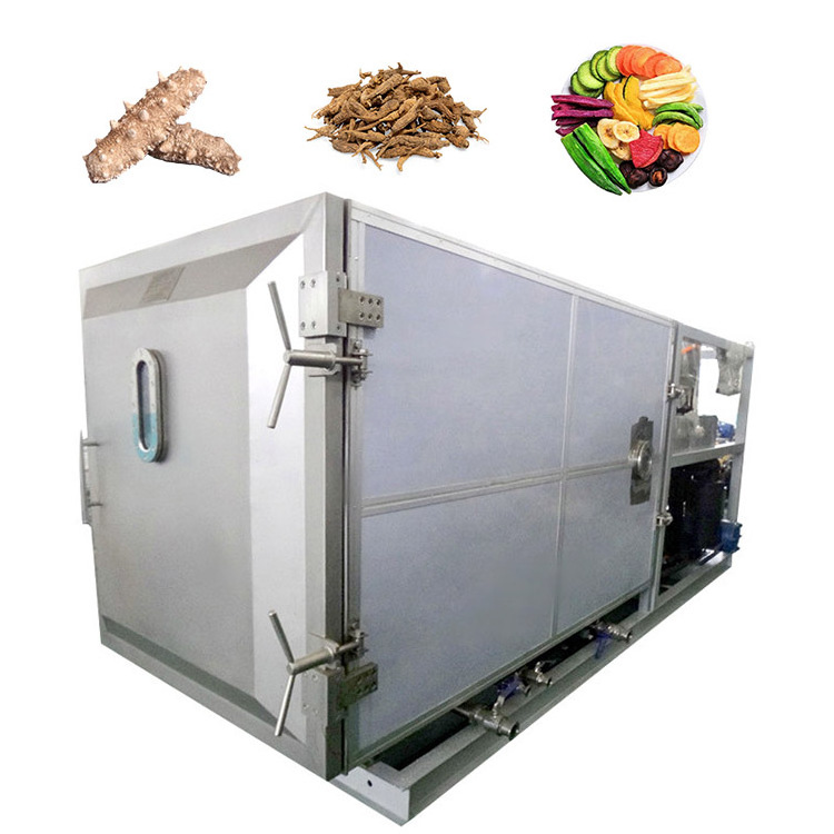 Small Continuous Vacuum Food Fish Snail Slime Scientific 20kg Industrial Freeze Dryer For Taxidermy