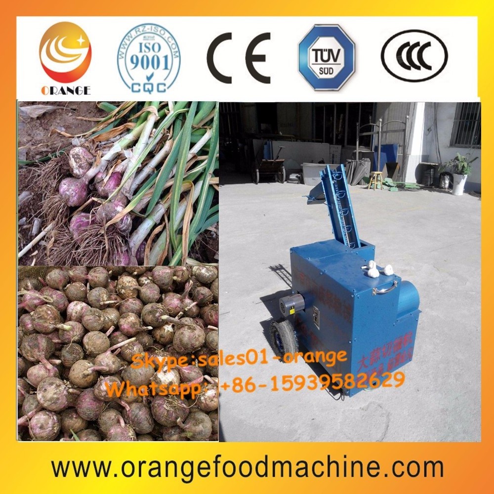 Fresh garlic root cutting machine / garlic root removing machine  / garlic root cutter