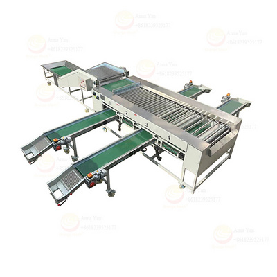 Cherry tomato citrus sorting machine classifier manufacturer