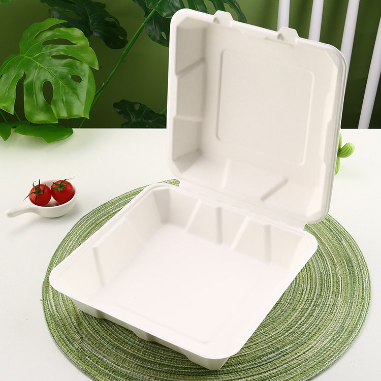 Natural white color ecopack rectangle sugarcane bagasse disposable food container bagasse sugarcane plate meal box with lid