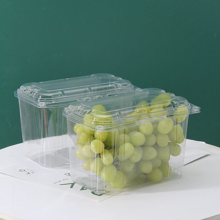 Custom Made Recyclable Clear Vegetable Plastic Clamshell Box Packaging Pet Salad Container with Lid plastic fruit container pet