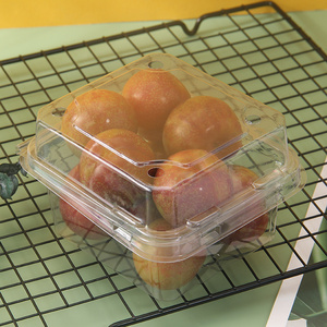 Food Grade Blister Plastic Pet Packaging Fruit Strawberry Punnet Box Container With Handle dry fruits box packaging