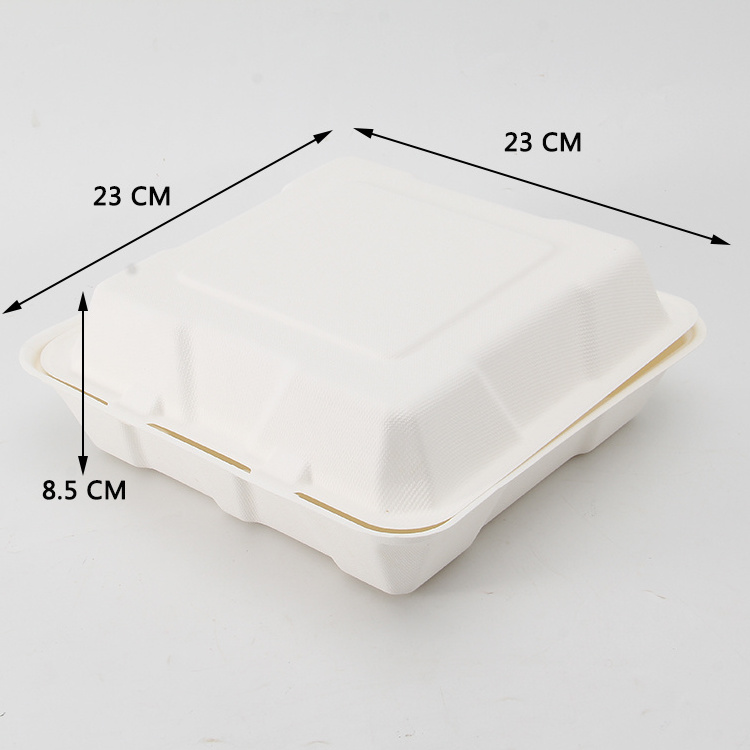 Natural white color ecopack rectangle sugarcane bagasse disposable food container bagasse sugarcane plate meal box with lid