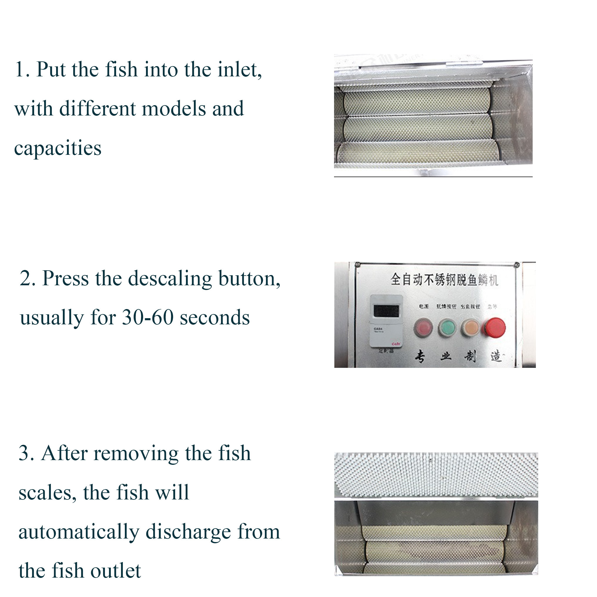 fish scale remover scraper machine scaler trommel scales fish separator electric fish scaling machine