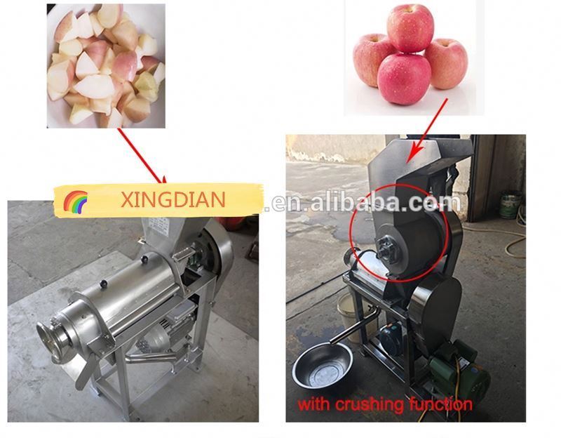 Stainless steel industrial fruit and vegetable apple watermelon pomegranate pear ginger onion screw squeeze crusher juicer