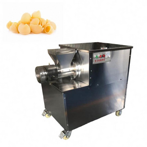 Factory direct price pani puri pellets pasta making machines pasta making machine commercial with best price