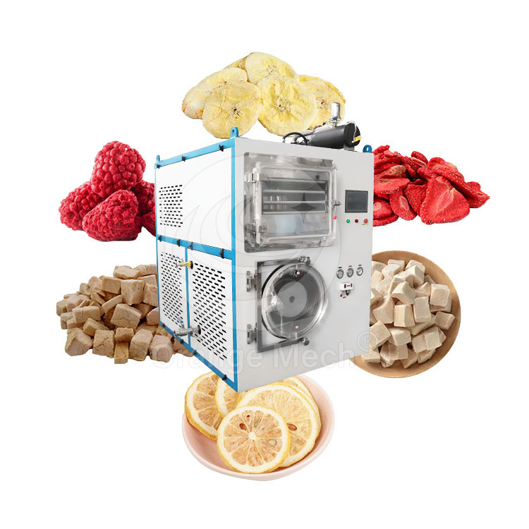 ORME Used Fruit Freeze Dry Machine Mini Harvest Right Vacuum Freeze Dryer Lyophilization Machine for Sale