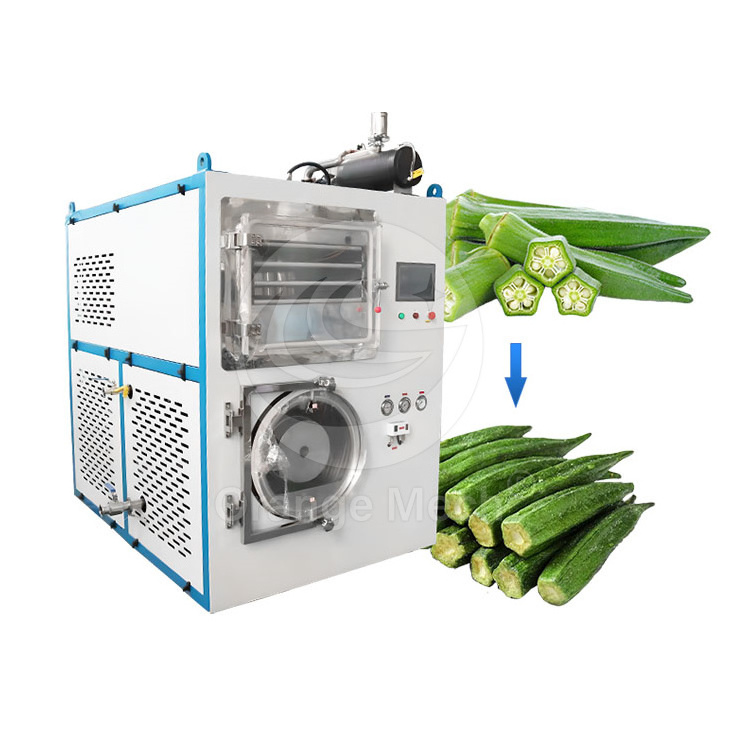 ORME Used Fruit Freeze Dry Machine Mini Harvest Right Vacuum Freeze Dryer Lyophilization Machine for Sale