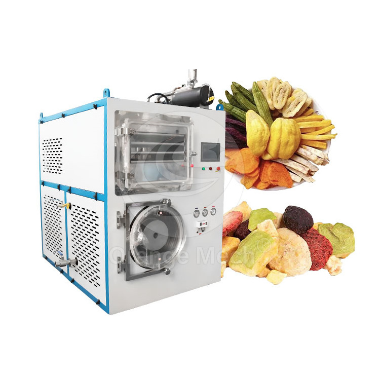 ORME Used Fruit Freeze Dry Machine Mini Lyophilization Machine Harvest Right Vacuum Freeze Dryer for Sale