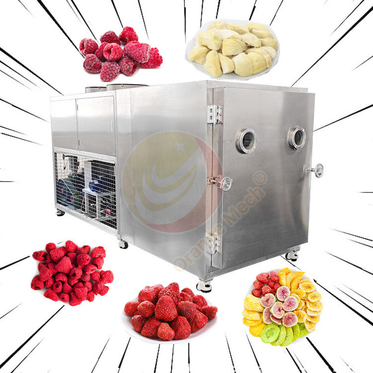 Industrial Fruit Freeze Dryer Affordable Big Capacity 30kg 100kg Per Batch Vegetable Freeze Drying Machine