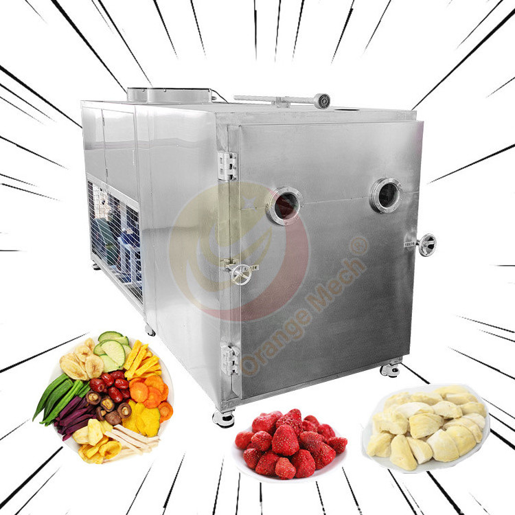 Industrial Fruit Freeze Dryer Affordable Big Capacity 30kg 100kg Per Batch Vegetable Freeze Drying Machine