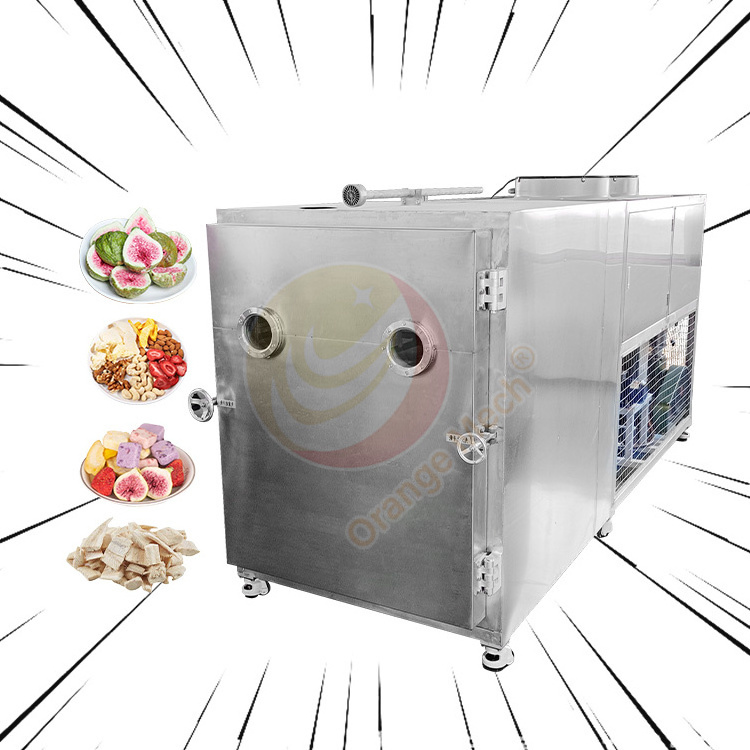 Industrial Fruit Freeze Dryer Affordable Big Capacity 30kg 100kg Per Batch Vegetable Freeze Drying Machine