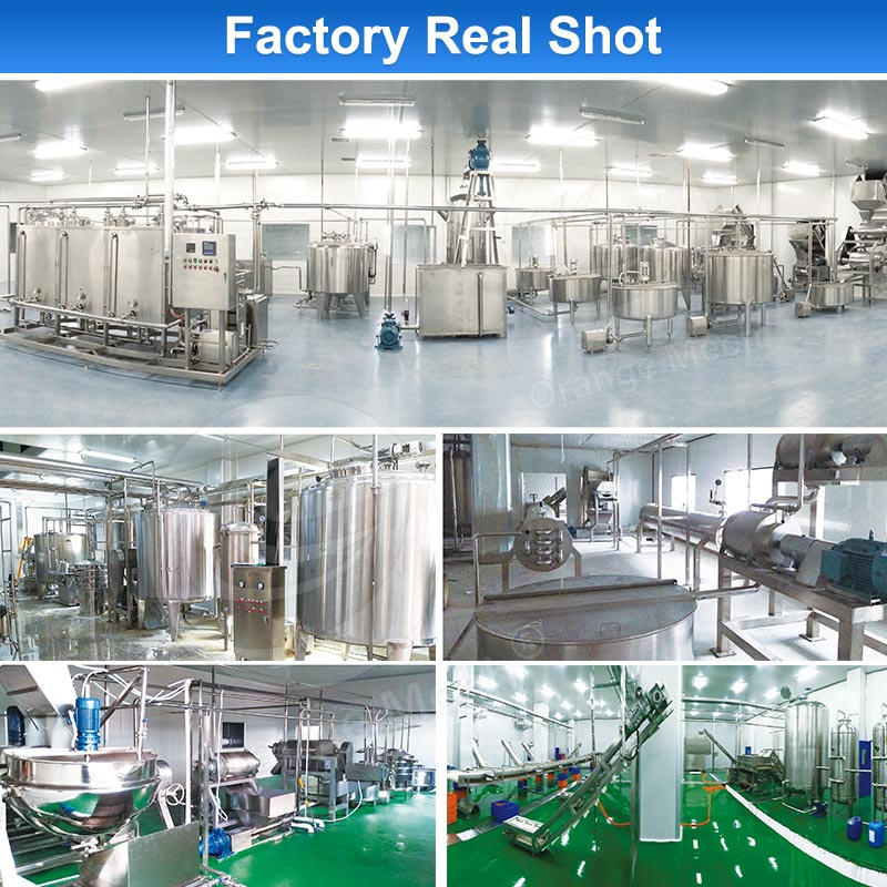 ORME Fully Automatic Ketchup Maker Tomato Puree Make Machine Tin Tomato Paste Manufacture Machine Process Plant