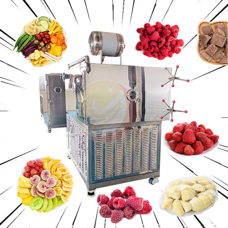 Industrial Fruit Freeze Dryer Affordable Big Capacity 30kg 100kg Per Batch Vegetable Freeze Drying Machine