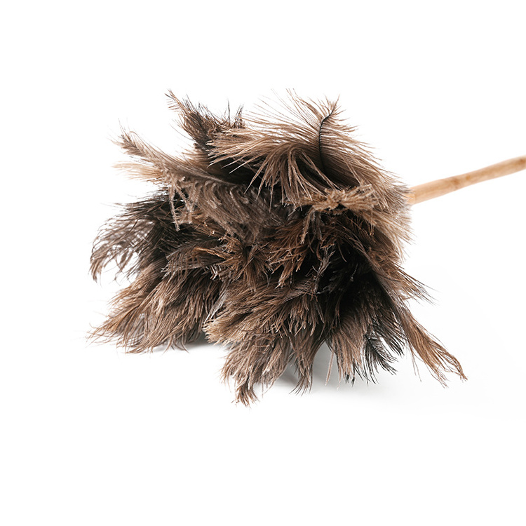 Chinese First Class Finely Processed Home Cleaning Use Grey Ostrich Feather Duster