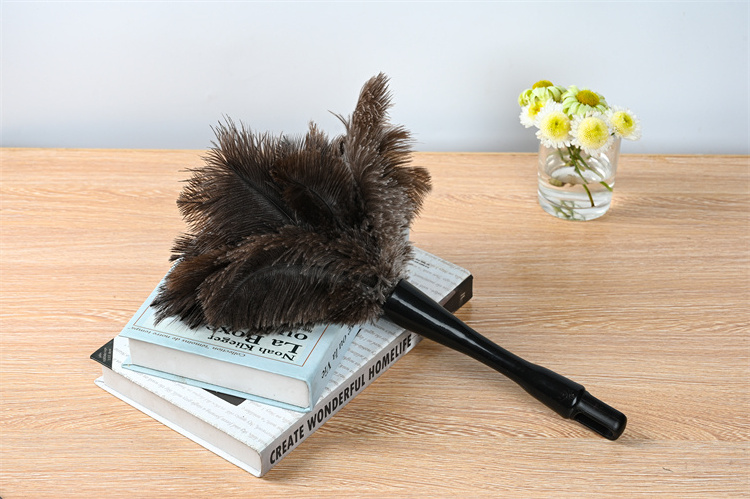 Plastic handle mini luxury chinese good quality ostrich feather duster black fluffy with feather duster cleaning