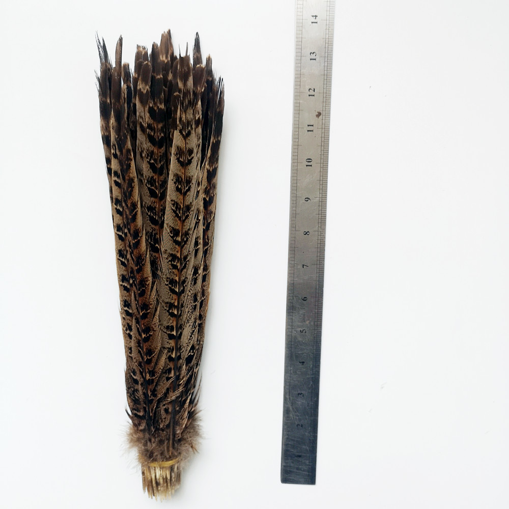 pheasant feathers plumas de faisan por mayor silver pheasant tail feathers