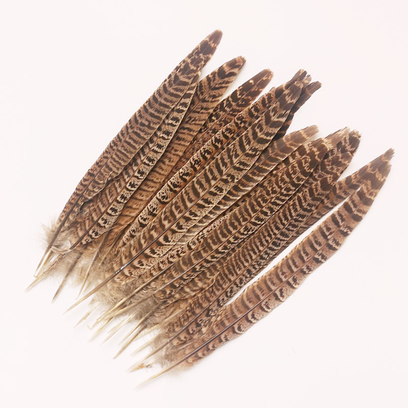 pheasant feathers plumas de faisan por mayor silver pheasant tail feathers