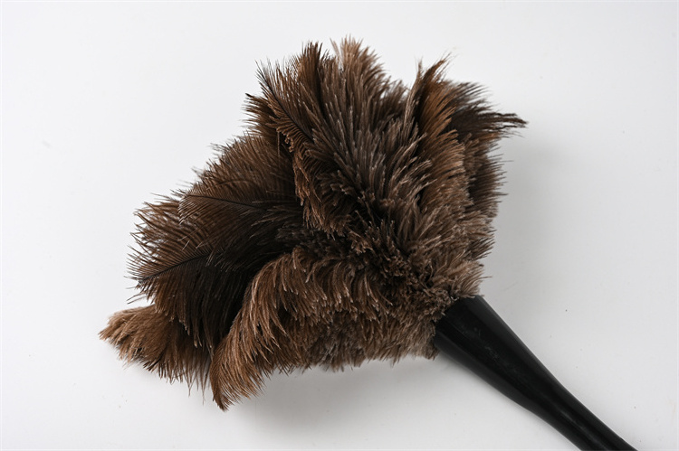 Plastic handle mini luxury chinese good quality ostrich feather duster black fluffy with feather duster cleaning