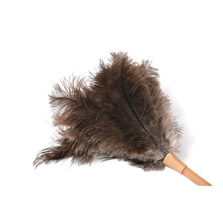 Chinese First Class Finely Processed Home Cleaning Use Grey Ostrich Feather Duster