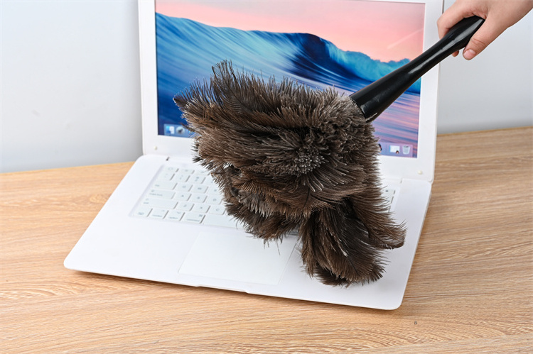 Plastic handle mini luxury chinese good quality ostrich feather duster black fluffy with feather duster cleaning