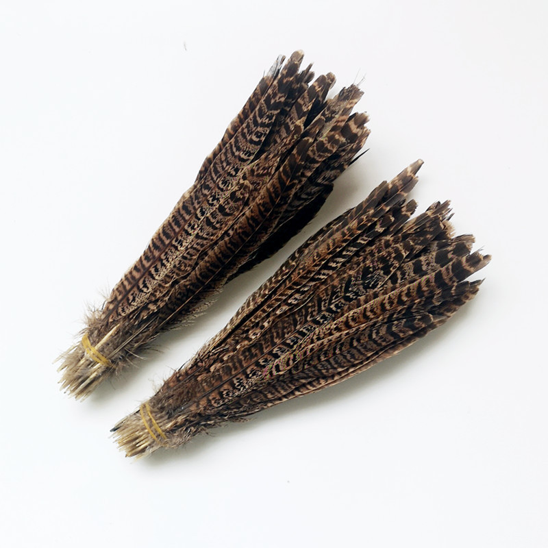 pheasant feathers plumas de faisan por mayor silver pheasant tail feathers