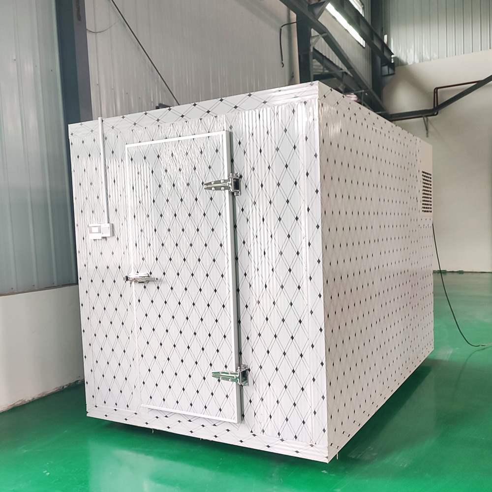 Mobile cold store cold room price  cold room solar powered  40ft freezer container  cold room