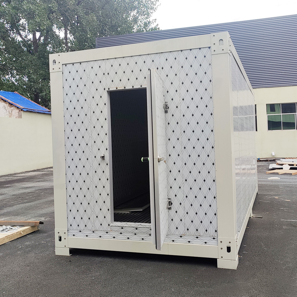 Mobile cold store 20ft mobile container best solar power cold storage room for fish meat vegetable ice store cold room