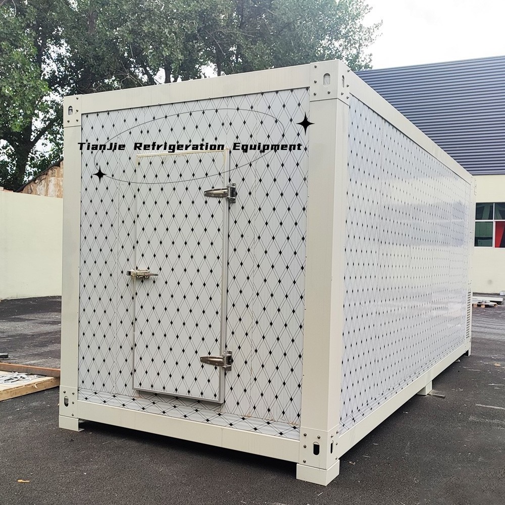 Mobile cold store 20ft mobile container best solar power cold storage room for fish meat vegetable ice store cold room