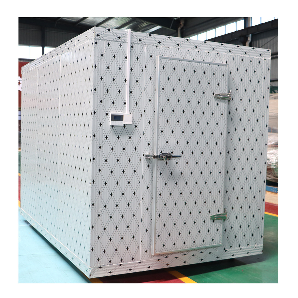 Hot Sale Walk In Cold Storage Room Freezer/Chiller CE Certificate Swing Door With Zinc Alloy Hinges and Lock