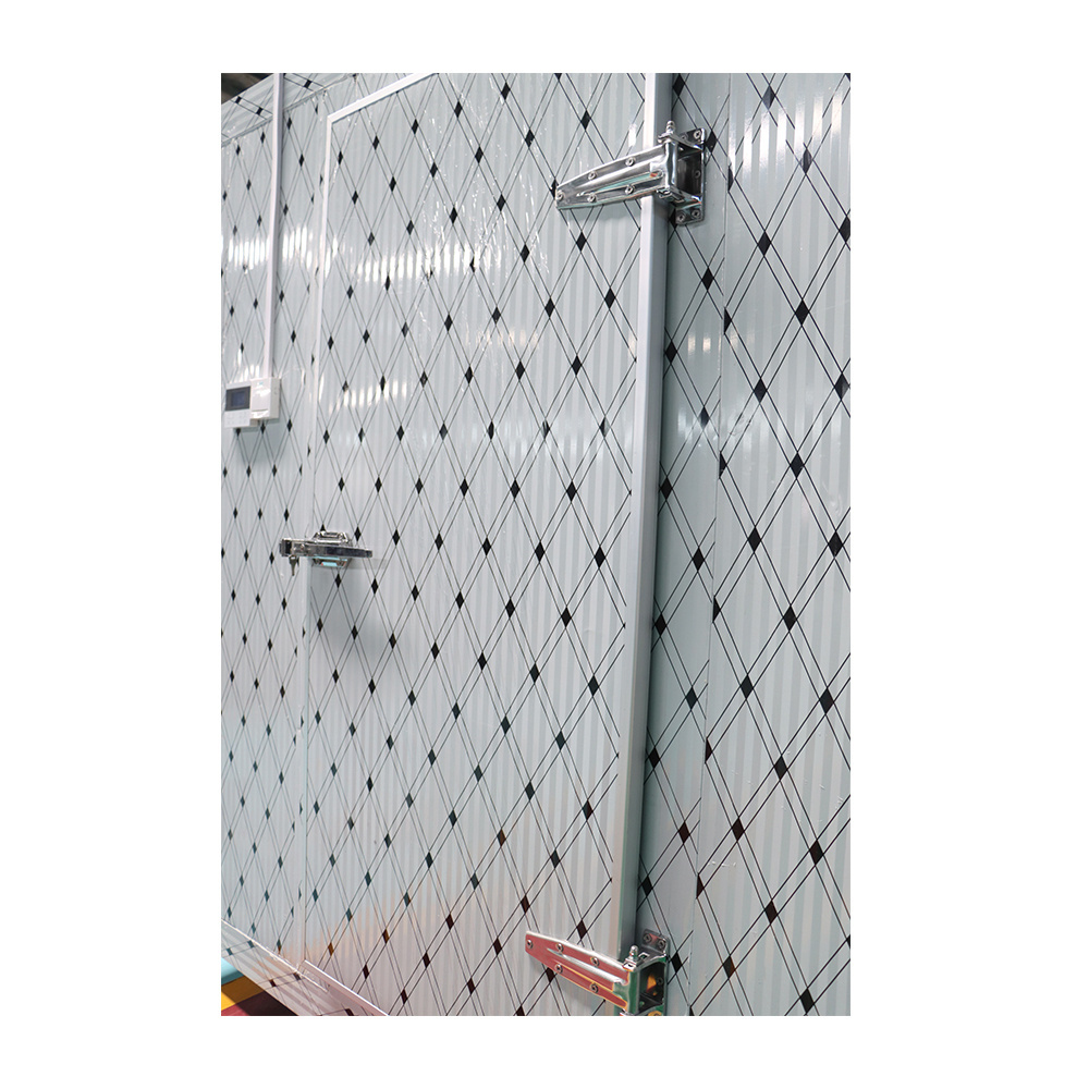 Hot Sale Walk In Cold Storage Room Freezer/Chiller CE Certificate Swing Door With Zinc Alloy Hinges and Lock