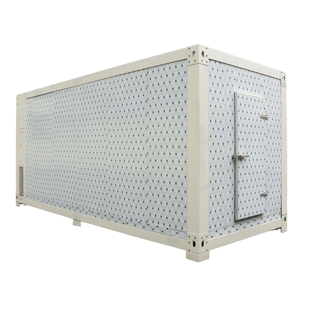 Mobile cold store 20ft mobile container best solar power cold storage room for fish meat vegetable ice store cold room