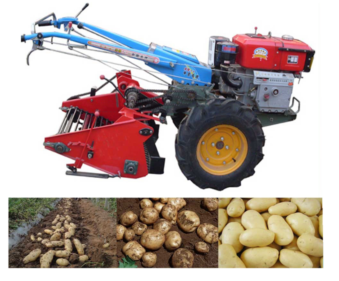 Tractor Mounted Single Row Potato Harvester Machinery /Small Sweet Potato Digger/Walking Tractor peanut harvester