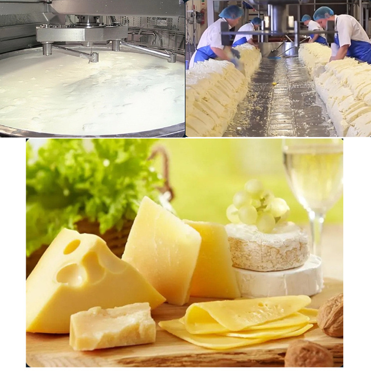 Fully Automatic 300 Liters Small Scale Cheese Vat Cheese Making Machine