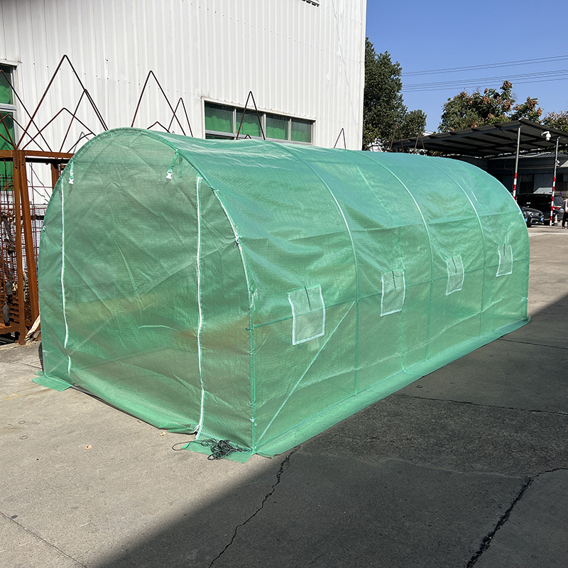 Complete Greenhouses for Winter Vegetable Cultivation Easily Assembled with Moisturizing and Thermal Insulation Specifications