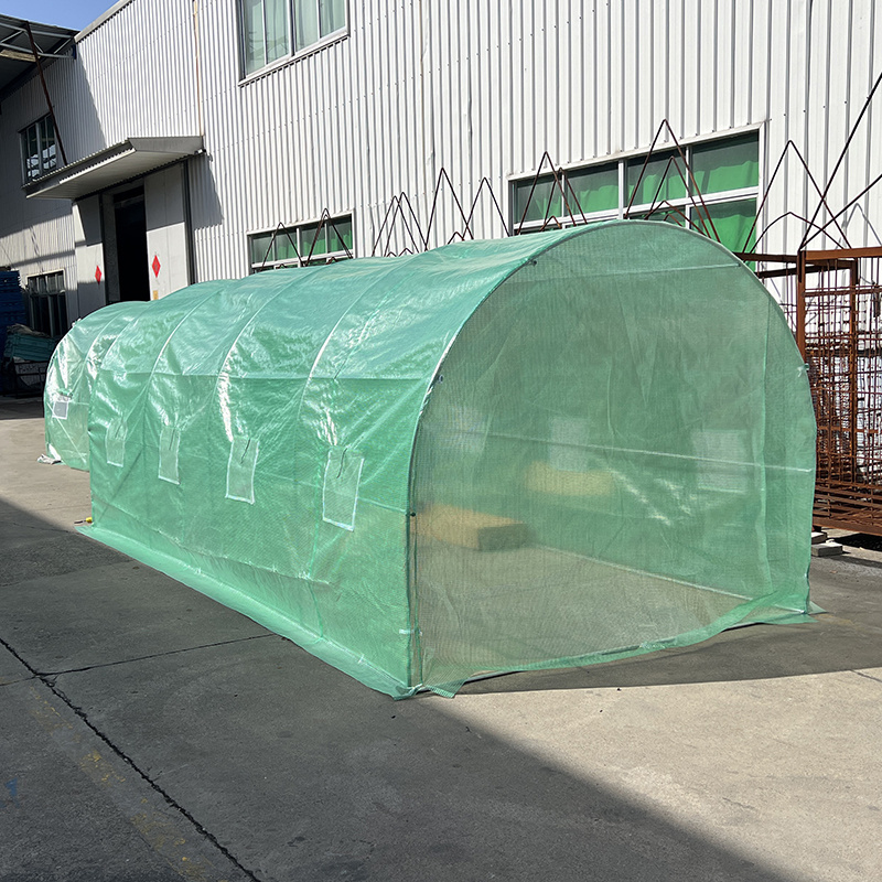 Complete Greenhouses for Winter Vegetable Cultivation Easily Assembled with Moisturizing and Thermal Insulation Specifications