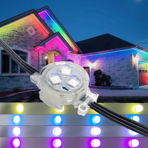 Factory Lighting 12v IP68 Outdoor Permanent Christmas Holiday Rgbw Led Pixel Point Light