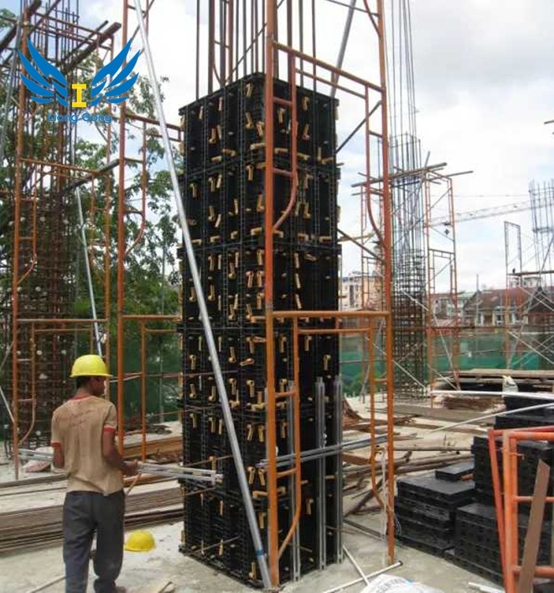 Modular Concrete Forms Plastic Wall and Column Formwork Reusable Plastic Formwork for Concrete Construction for House for Wall