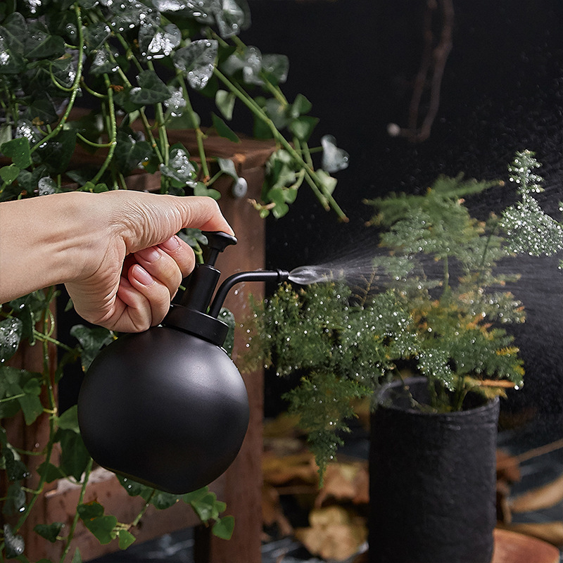 DD2057 Nordic Metal Watering Can with Top Pump Garden Mister Kettle Decor Sprayer Sprinkling Stainless Steel Plant Spray Bottle