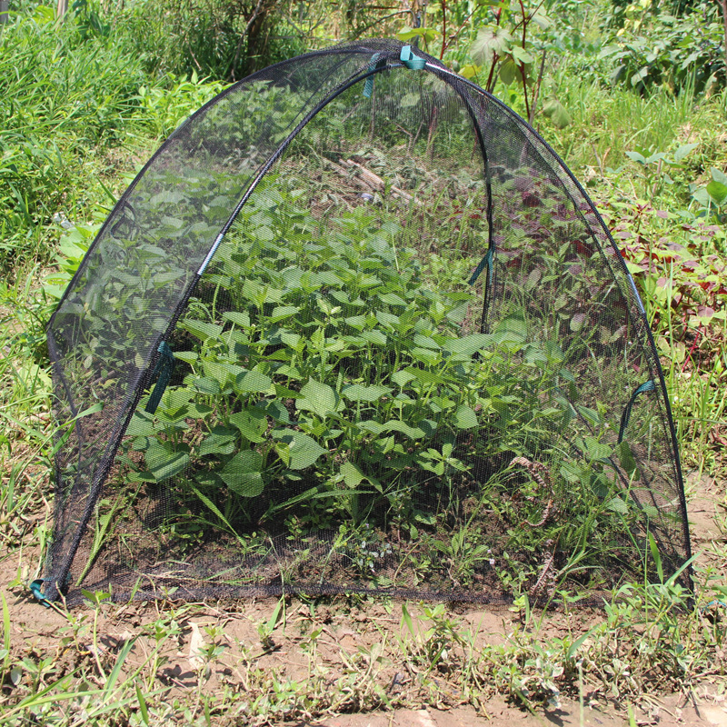 DD2162   Plant Protective Insect Barrier Netting Dome Prevent Leaf Litter Mesh Tent Outdoor Pond Garden Cover