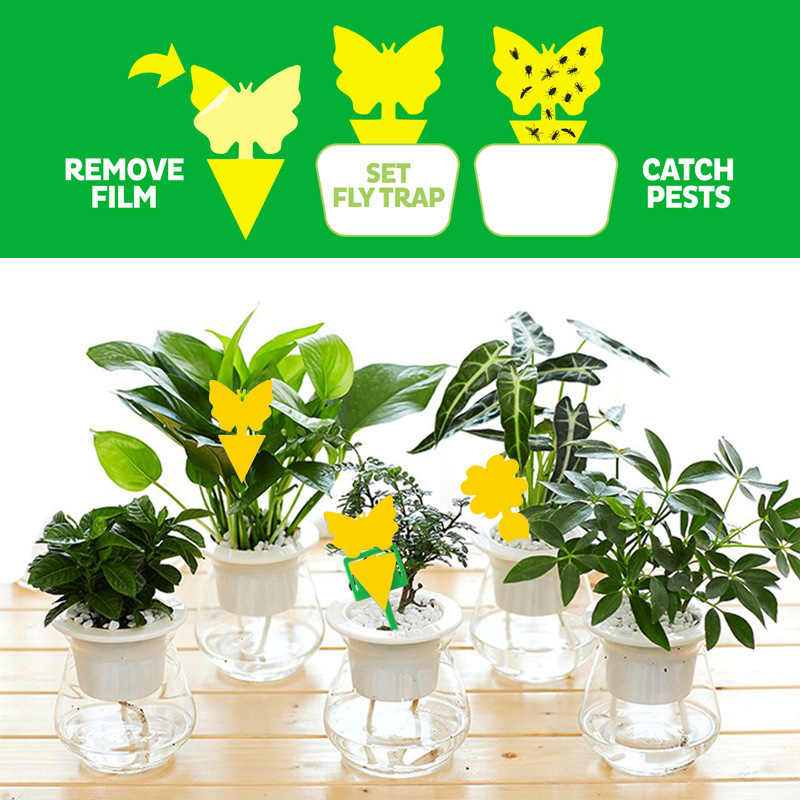 DLL588 Fruit Fly Traps Fungus Gnat Traps Yellow Sticky Bug Traps Outdoor and Kitchen Use Protect The Plant Insect Catcher